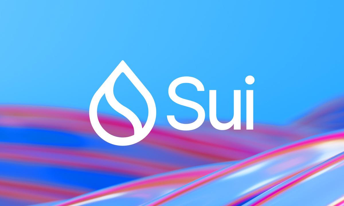 Sui Node Infrastructure for Protocol Reliability